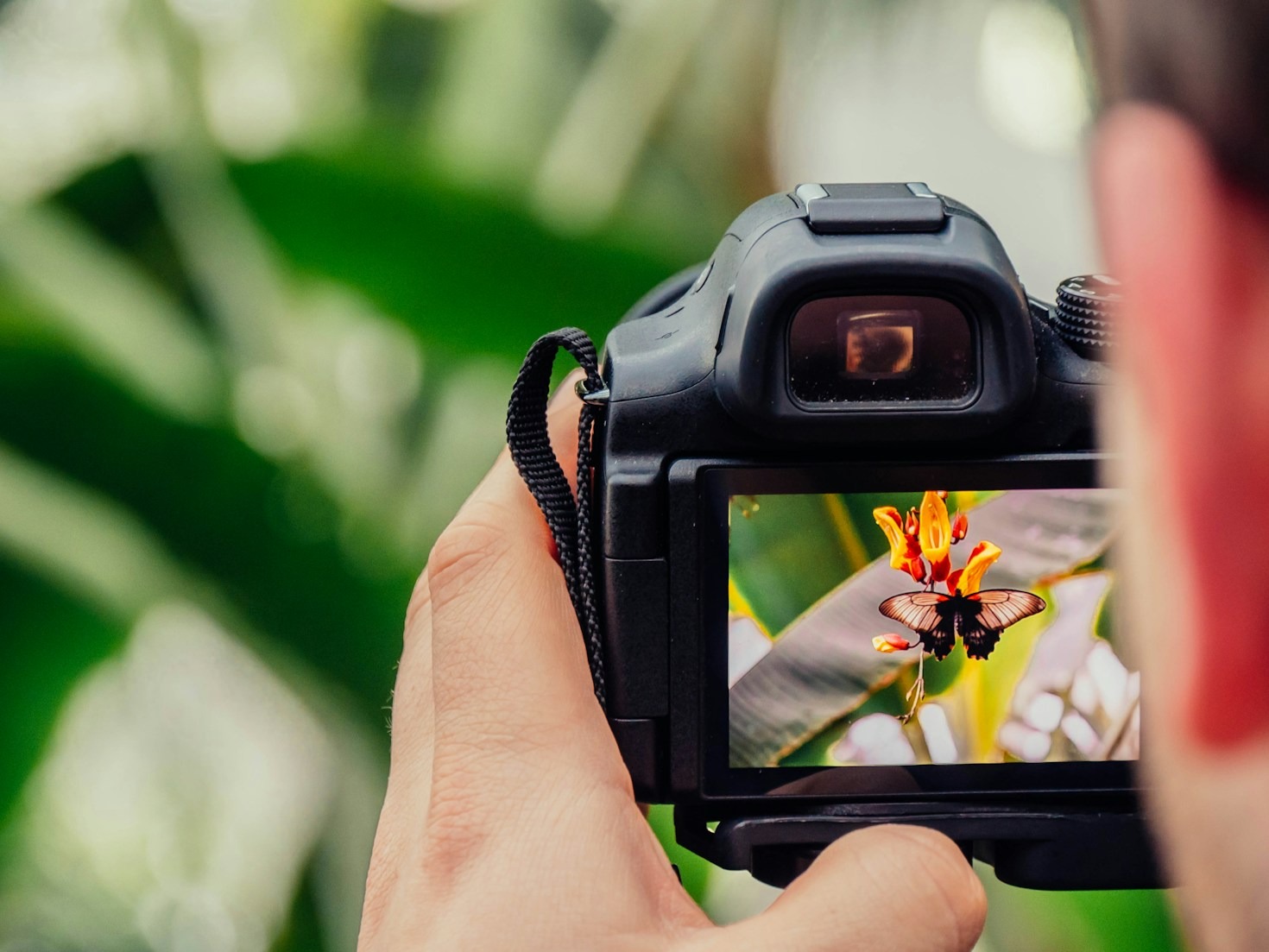 The Connection Between Hobby and Passion